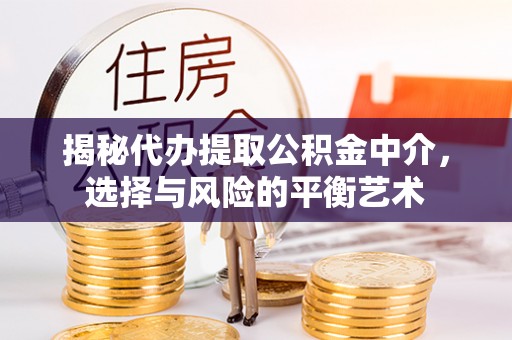 郏县揭秘代办提取公积金中介，选择与风险的平衡艺术