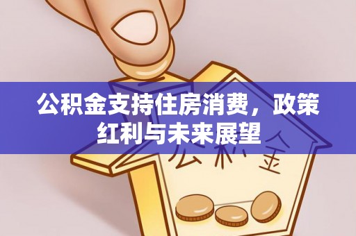 郏县公积金支持住房消费，政策红利与未来展望