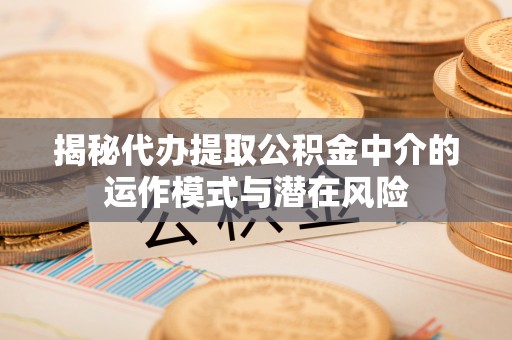 郏县揭秘代办提取公积金中介的运作模式与潜在风险