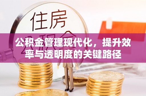 郏县公积金管理现代化，提升效率与透明度的关键路径