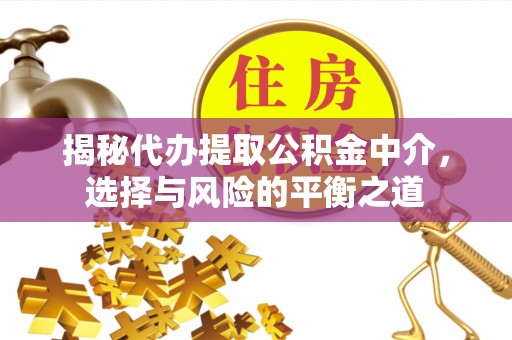 郏县揭秘代办提取公积金中介，选择与风险的平衡之道