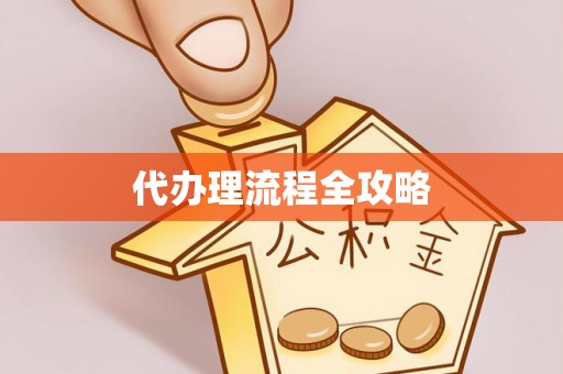郏县代办理流程全攻略