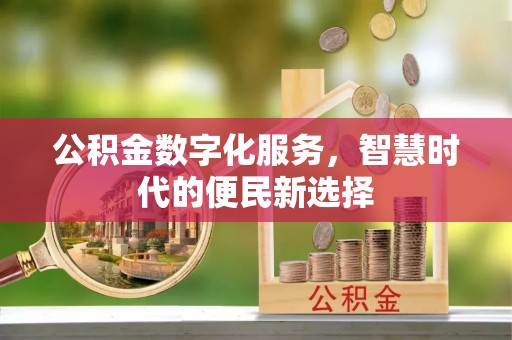 郏县公积金数字化服务，智慧时代的便民新选择