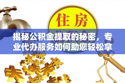 郏县揭秘公积金提取的秘密，专业代办服务如何助您轻松拿钱