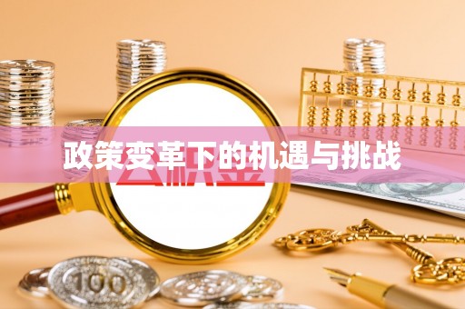 郏县政策变革下的机遇与挑战
